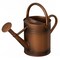 Gardenised 1 Gallon Galvanized Metal Watering Can with Removable Long Spout & Sprinkler Head for Indoor & Outdoor Use Ideal for Garden Flowers Potted Plants Houseplants Modern Home Accessories